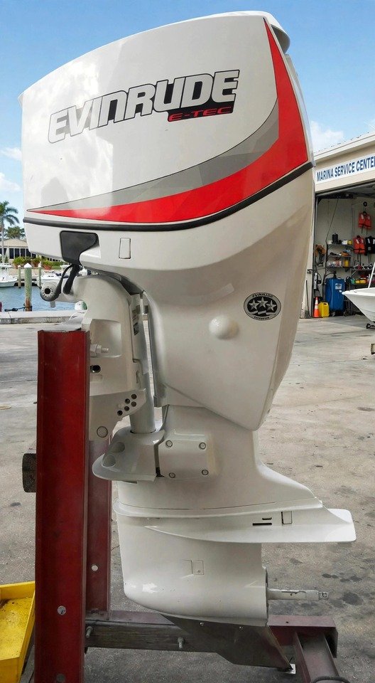 2010 Evinrude 200HP E-TEC outboard motor, actual photos — view 3