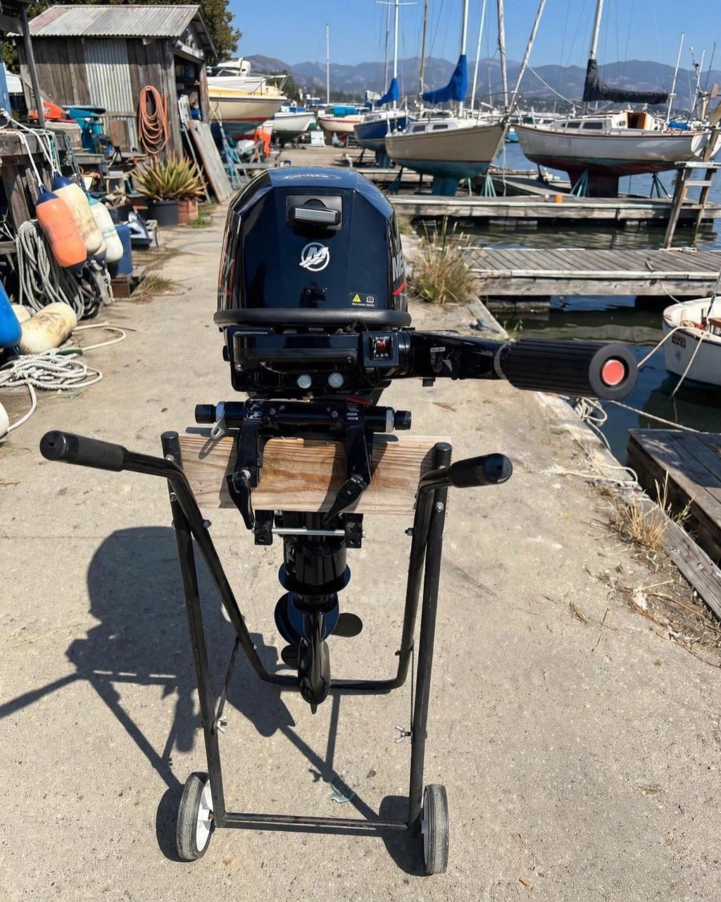 2023 Mercury 8MH 8HP four-stroke outboard motor, actual photos — view 2