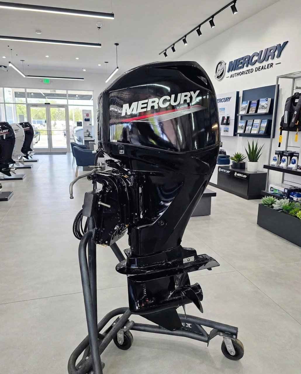 2021 Mercury 60HP FourStroke Command Thrust outboard motor, actual photos — view 2